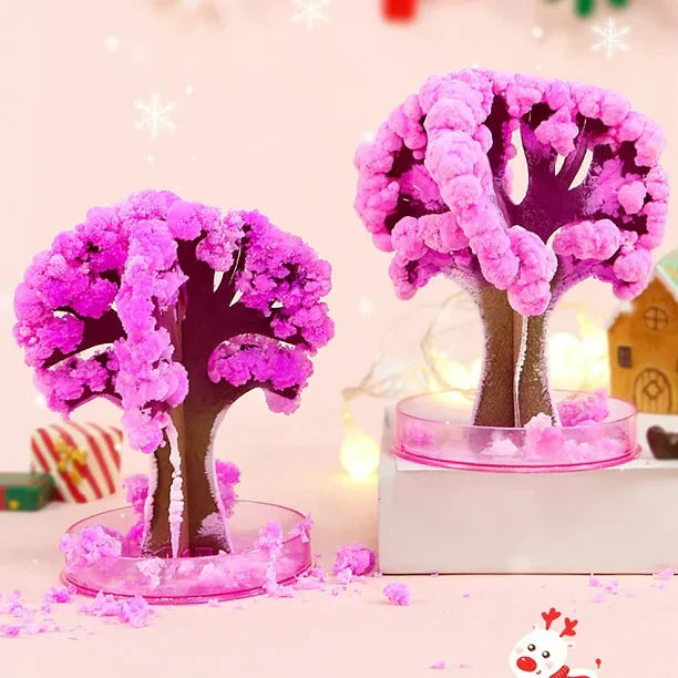Sakura Cherry Blossom Tree - Kalesh Monk