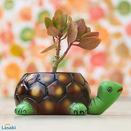 Tortoise big HP Planter  for Indoor Plants,Planters,Flower,Outdoor,Balcony,Home,Garden,Office Decor,Succulent Pot(Hand Painted Green Neck)(L:19.5 cm,W:13.5 cm,H:7 cm)