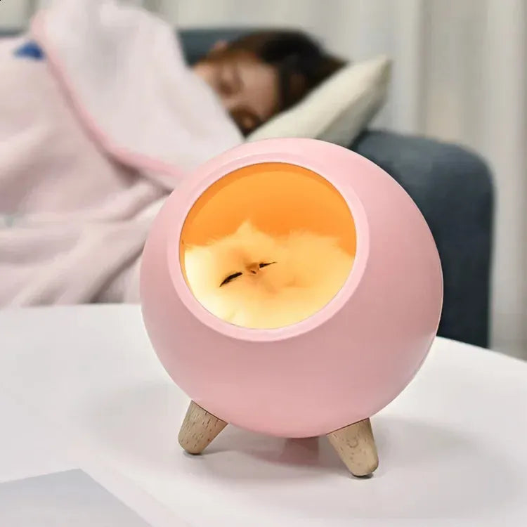 Cute Kitten House Decorative Night Light - Kalesh Monk