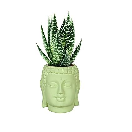 Small Buddha 3.5" Ceramic Pots for Indoor Plants, Planters, Flower, Pots, gamla,Outdoor,Balcony,Home,Round,Garden, Office Decor,Succulent (H - 9 X D - 8.5 cm) (LIHGT GREEN)