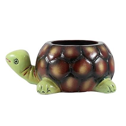 Tortoise big HP Planter  for Indoor Plants,Planters,Flower,Outdoor,Balcony,Home,Garden,Office Decor,Succulent Pot(Hand Painted Green Neck)(L:19.5 cm,W:13.5 cm,H:7 cm)