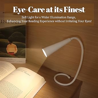Book Light for Reading, Rechargeable With 3 Colors Stepless Dimming Memory Function for Reading and Night light - Kalesh Monk