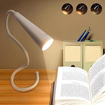 Book Light for Reading, Rechargeable With 3 Colors Stepless Dimming Memory Function for Reading and Night light - Kalesh Monk