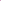 Sakura Cherry Blossom Tree - Kalesh Monk
