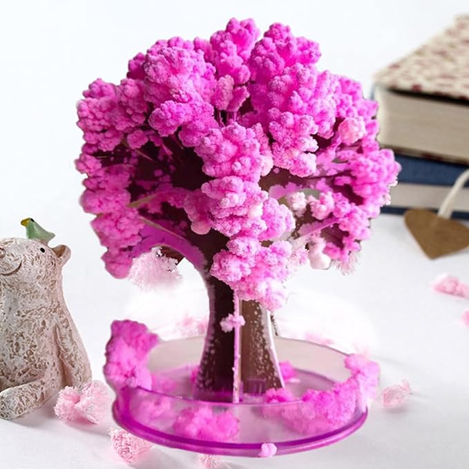 Sakura Cherry Blossom Tree - Kalesh Monk