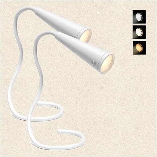 Book Light for Reading, Rechargeable With 3 Colors Stepless Dimming Memory Function for Reading and Night light - Kalesh Monk