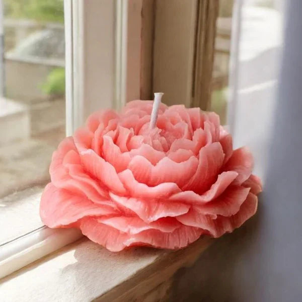 Rose Scented Candle - Pack of 3 - Kalesh Monk