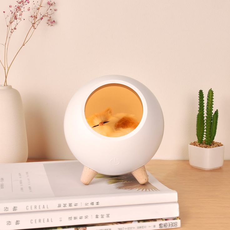 Cute Kitten House Decorative Night Light - Kalesh Monk