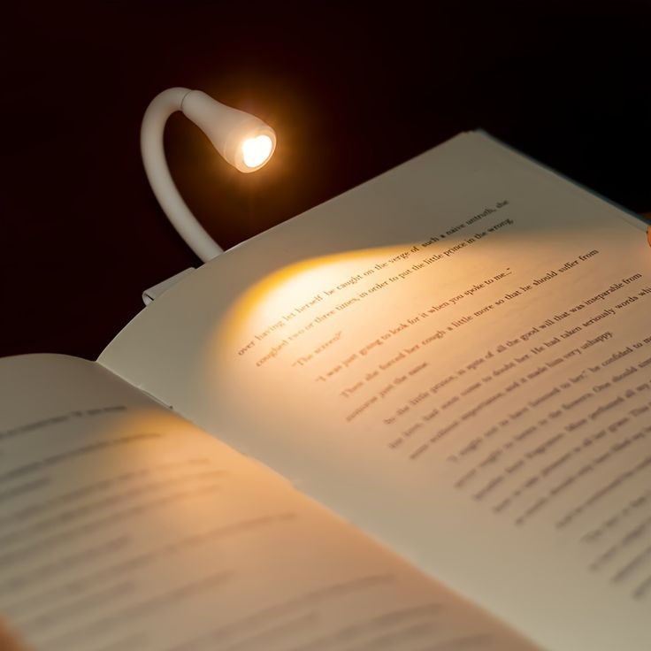 Reading Light Book Lamp for Bed, Book Reading Lover Gifts for Women Men, Clip on LED Book Light Rechargeable USB Portable 3 Color Temperatures Stepless Dimming Light . - Kalesh Monk