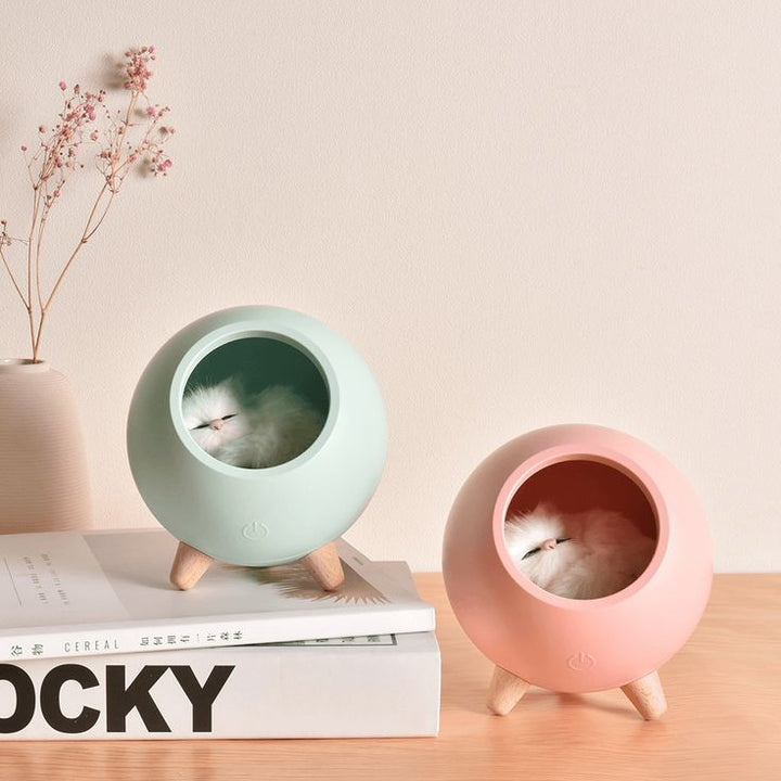 Cute Kitten House Decorative Night Light - Kalesh Monk