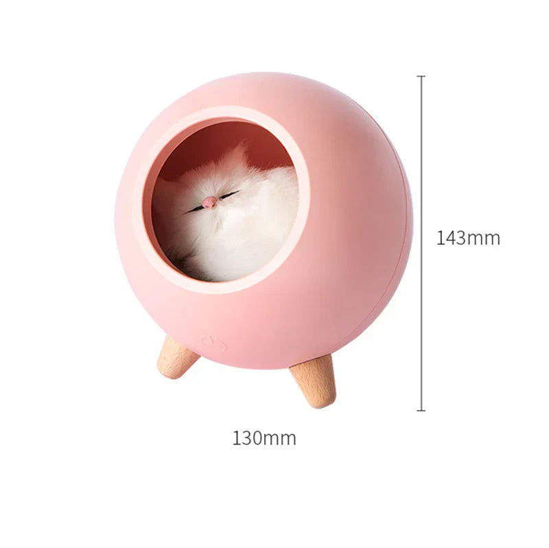 Cute Kitten House Decorative Night Light - Kalesh Monk