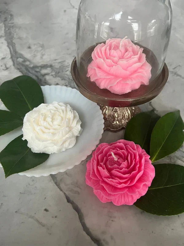 Rose Scented Candle - Pack of 3 - Kalesh Monk