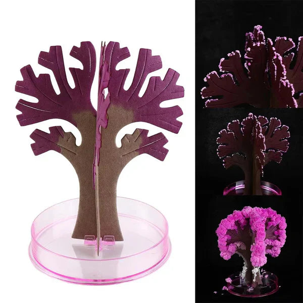 Sakura Cherry Blossom Tree - Kalesh Monk