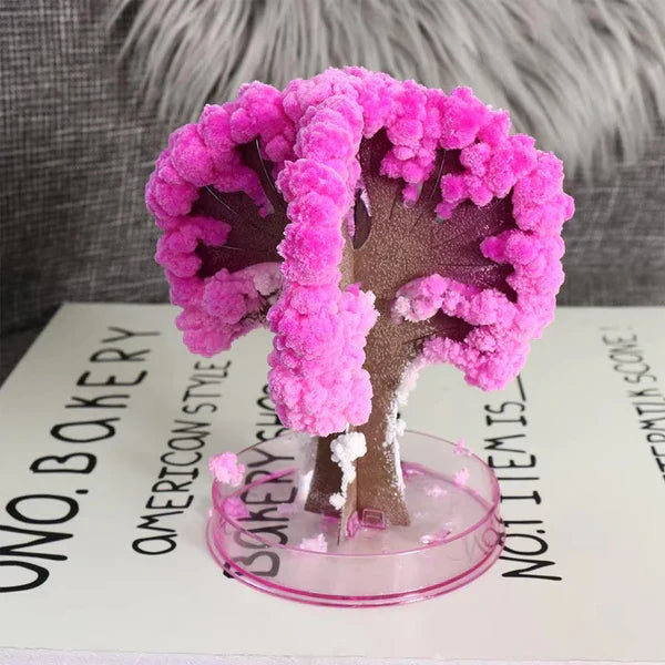 Sakura Cherry Blossom Tree - Kalesh Monk