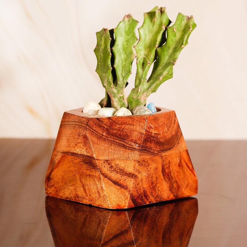 Diamond Wooden Pots for Indoor Plants,Planters,Flower pots,gamla for Indoor,Outdoor,Succulent Pot