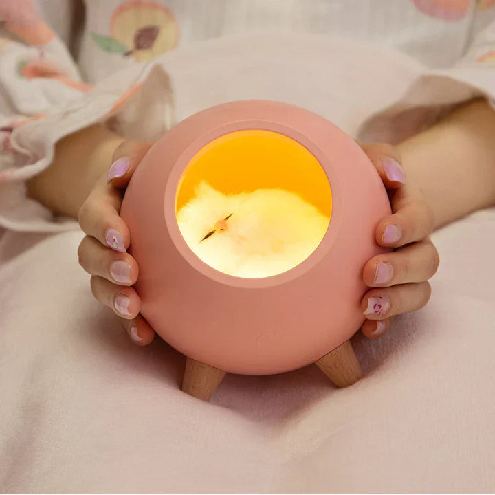 Cat House Night Light Lamp - Kalesh Monk