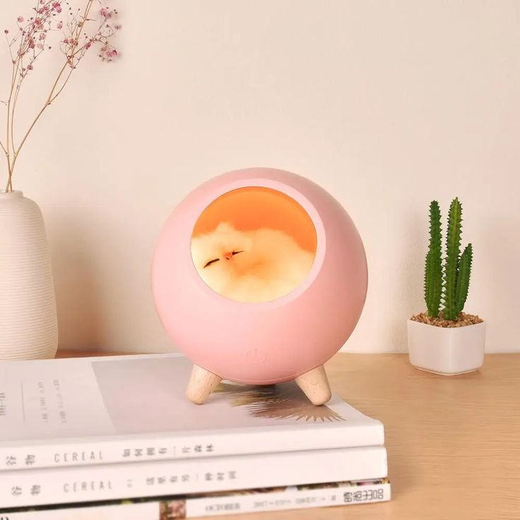Cat House Night Light Lamp - Kalesh Monk