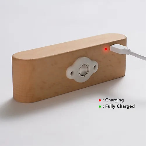 Magnetic small wall lamp - Kalesh Monk