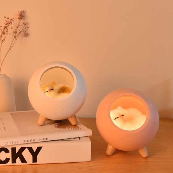 Cute Kitten House Decorative Night Light - Kalesh Monk