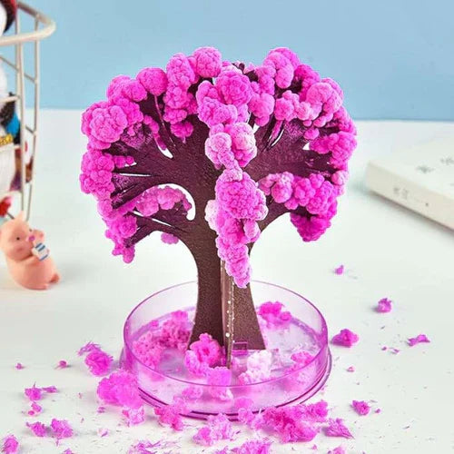 Sakura Cherry Blossom Tree - Kalesh Monk