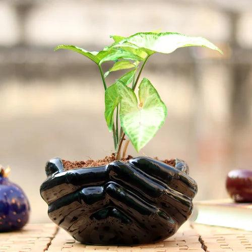 Hand Ceramic Pots for Indoor Plants, Planters, Flower Pot Living Room Home Decor Office Tabletop Desk Garden