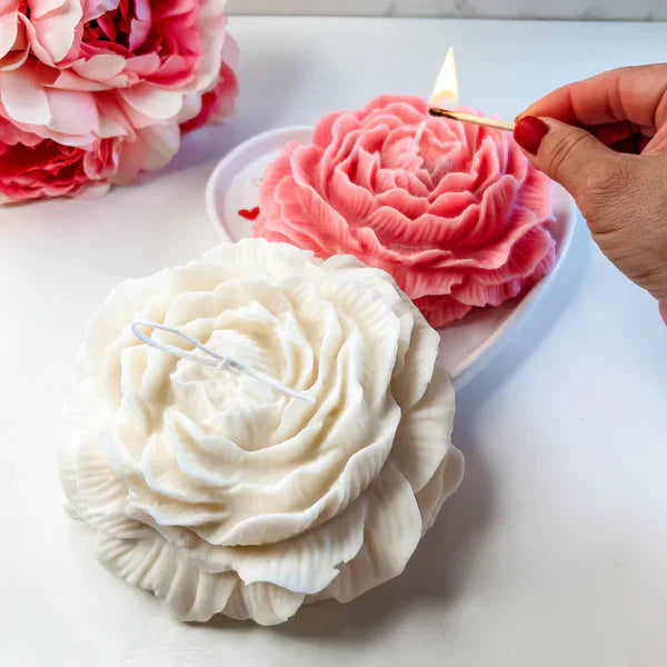 Rose Scented Candle - Pack of 3 - Kalesh Monk