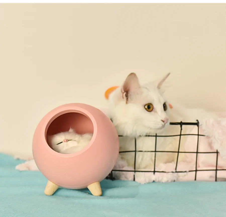 Cute Kitten House Decorative Night Light - Kalesh Monk